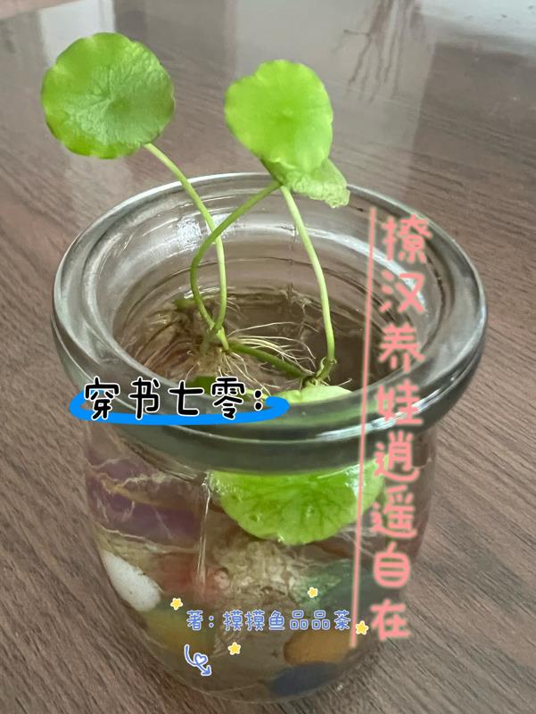 穿书七零:撩汉养娃逍遥自在 摸摸鱼品品茶